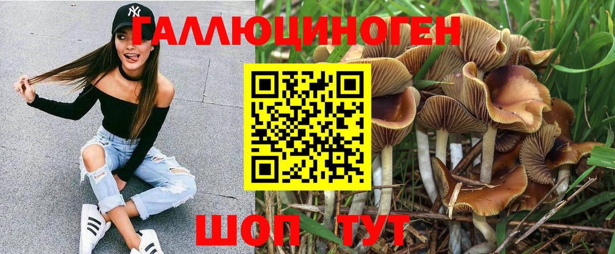 Стрежевой  Псилоцибиновые грибы ЛСД  Вход с VPN 