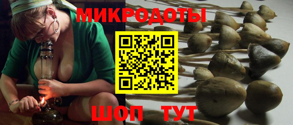 Псилоцибиновые грибы ЛСД Стрежевой